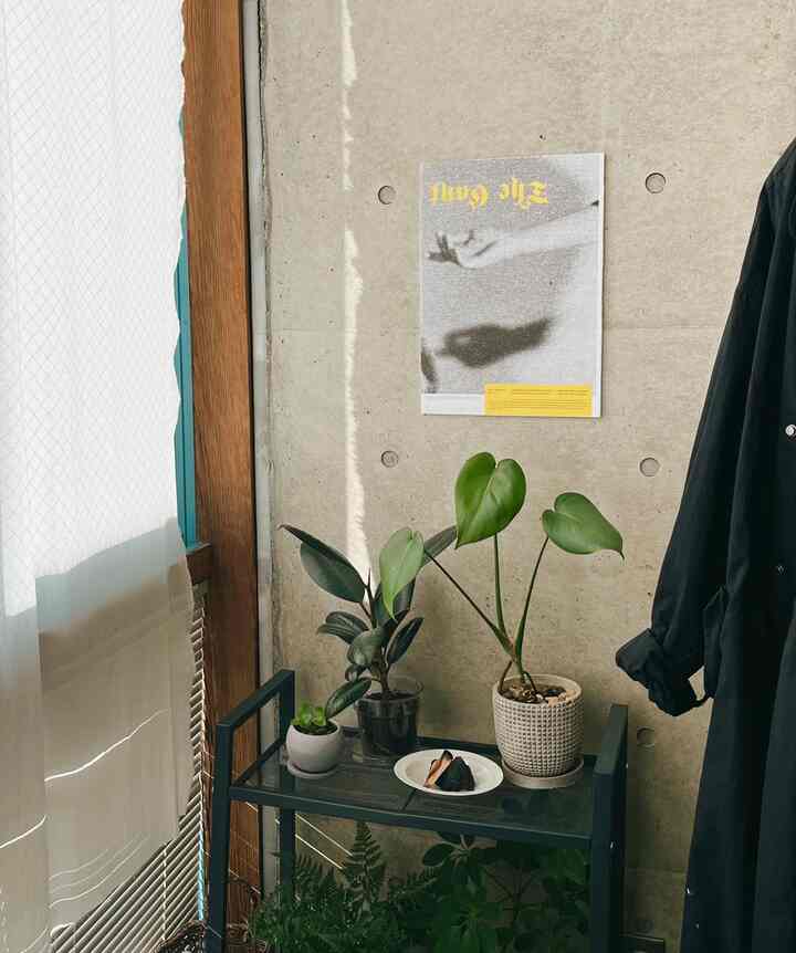 Saya suka kombinasi tanaman dan benda kertas lucu 🪴📝
Sekarang cuaca menjadi sangat dingin, kecepatan pertumbuhan tanaman melambat 🌞⛄️

#Tanaman hias #植物 #植物棚 #植物インテリア #植木鉢 #植木鉢棚 #棚 #ラック #シェルフ #IKEA棚 #ポスター #アロマディフューザー #パロサント