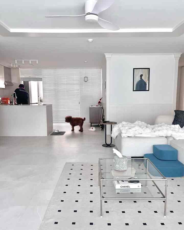 明るいホワイト調のモダンなキッチンとリビング、ソファ横の青いペットステップと小さな茶色の犬がいる雰囲気のあるインテリア