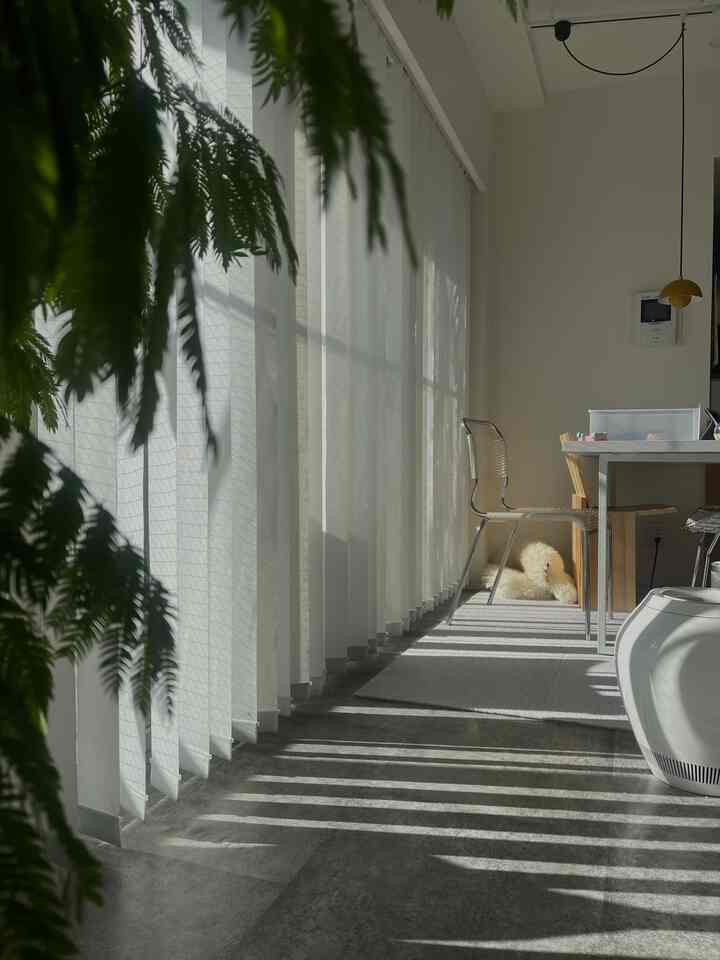 白とグレー調のダイニングルーム、ダイニングテーブルと椅子、ペットの犬、植物が配置された自然な雰囲気のあるインテリア