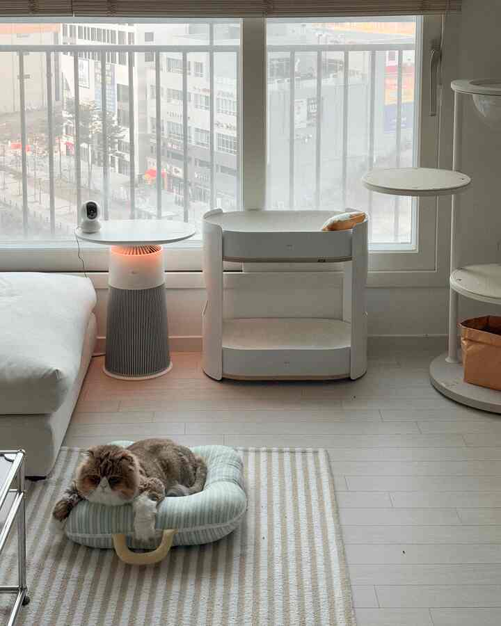 明るいホワイトと木目調のリビング、窓際にキャットタワーと空気清浄機が配置されており、床にはストライプのラグとパステルカラーのクッションに猫がくつろいでいる。