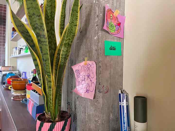 #観葉植物 #カラフルインテリア #カラフルなインテリア #ミッドセンチュリー #リノベーション #リノベ #躯体現し