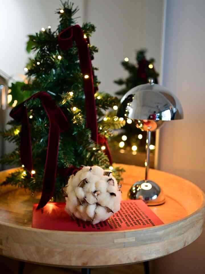 あと2日でクリスマス終わり？
ミニツリーまだまだ楽しみたいのに🎄
園芸センターでみつけたコットンフラワーのオーナメントも冬ムードで可愛い🍰

#クリスマスツリー #コットンフラワー