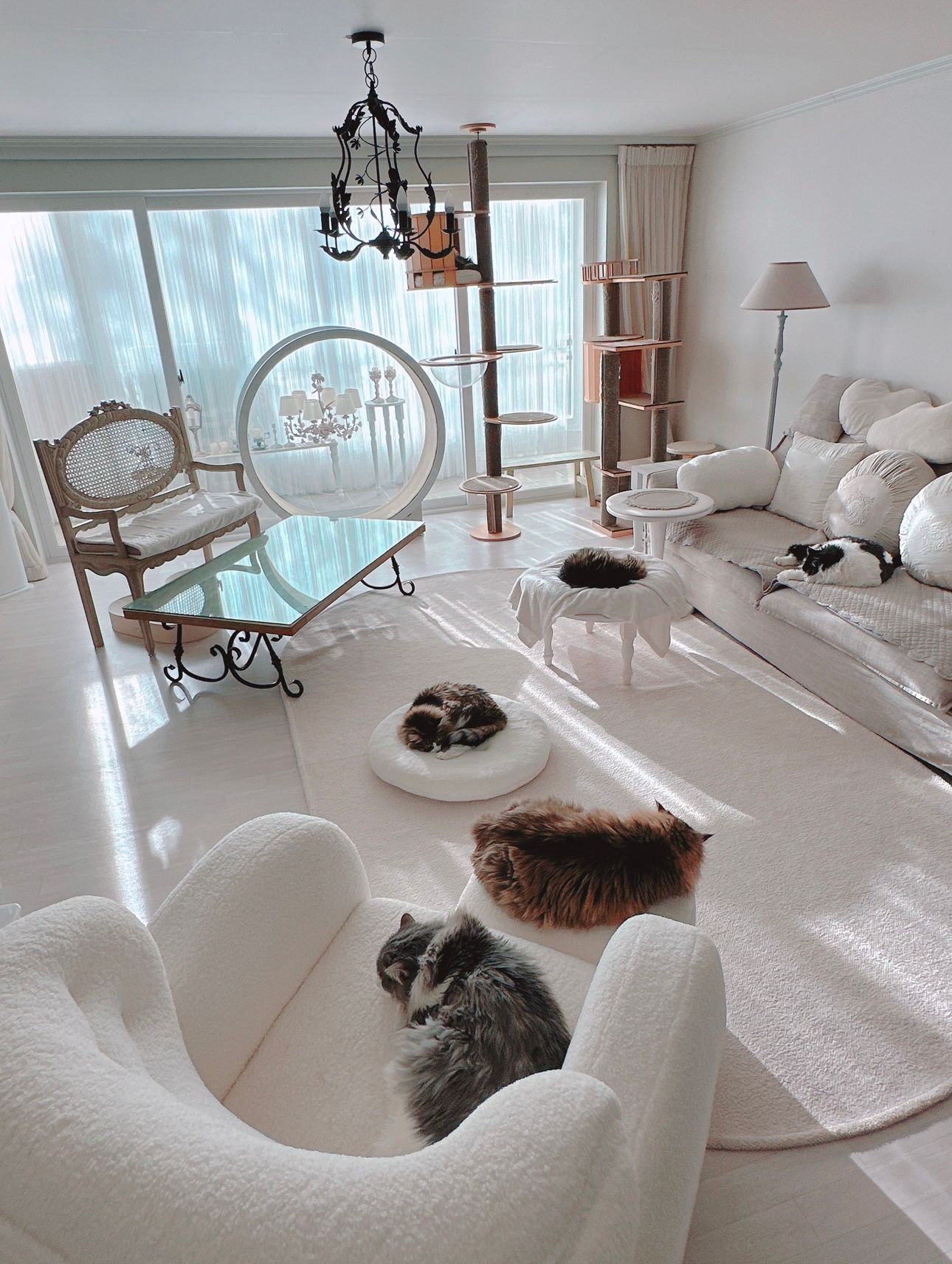 Bouclé Deep Seat Lounge Chair (With Ottoman) user photo