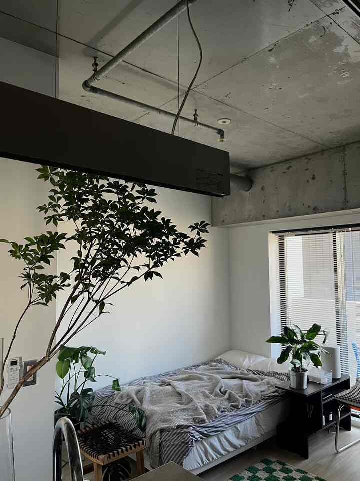 Natural-toned studio bedroom featuring a white bed, walls, indoor plants, and a side table creating a cozy ambiance