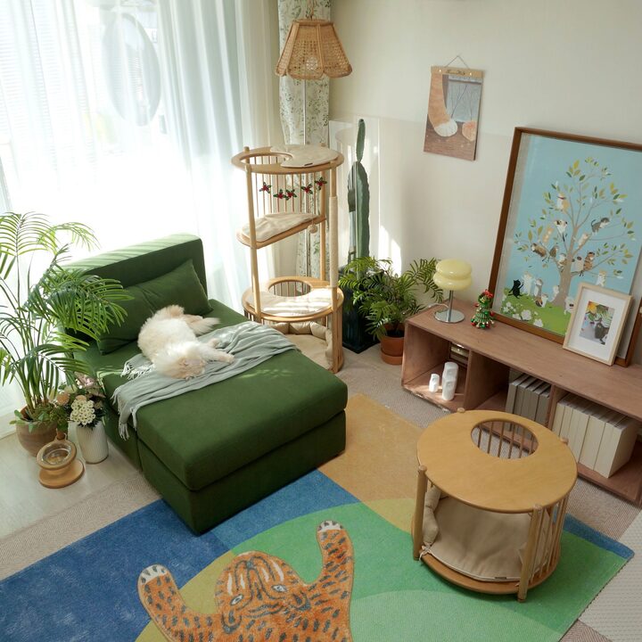 short form carousel card thumbnail