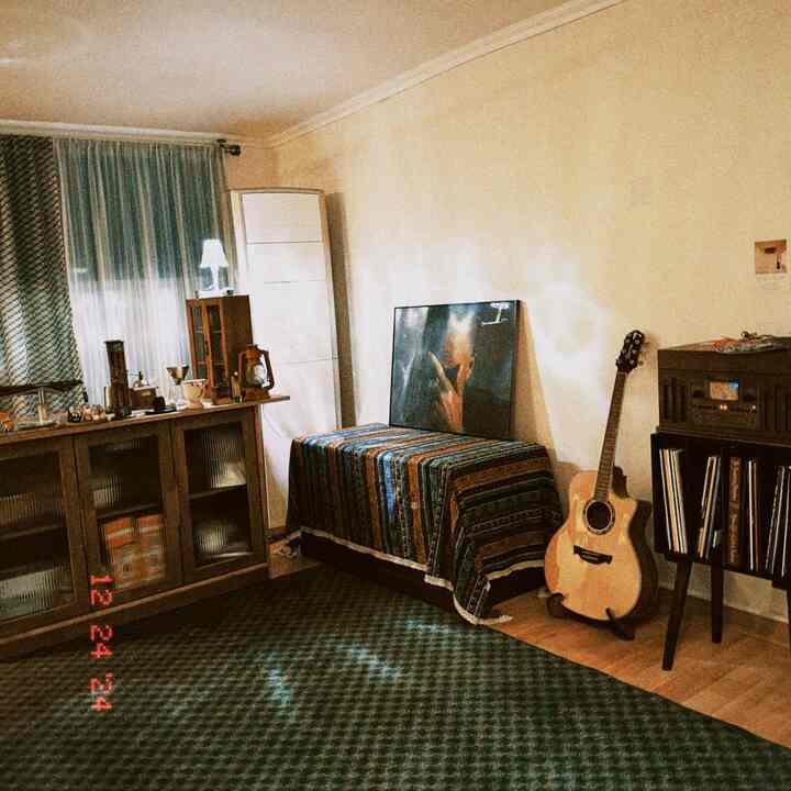 ヴィンテージ風の木目調家具と緑のパターンカーペットがある雰囲気のあるリビング