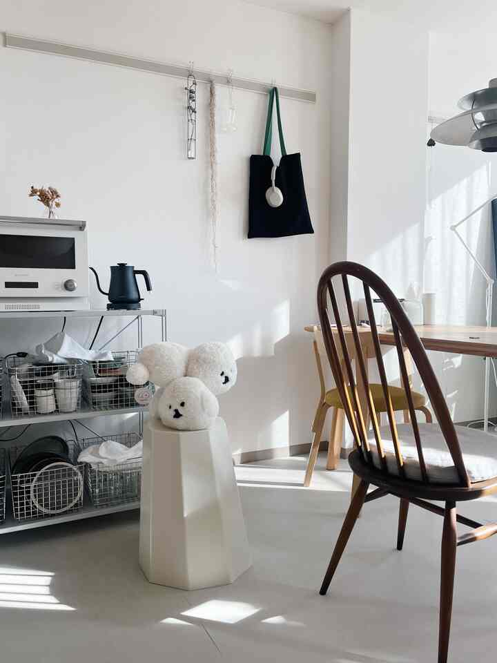 お友達のマンボも遊びに来た時🐶



#MAMBO 
#一人暮らし 