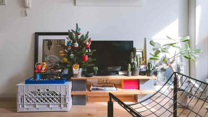 White-walled studio apartment with natural light, featuring a Christmas tree, TV stand, and various plants in a simple living space
