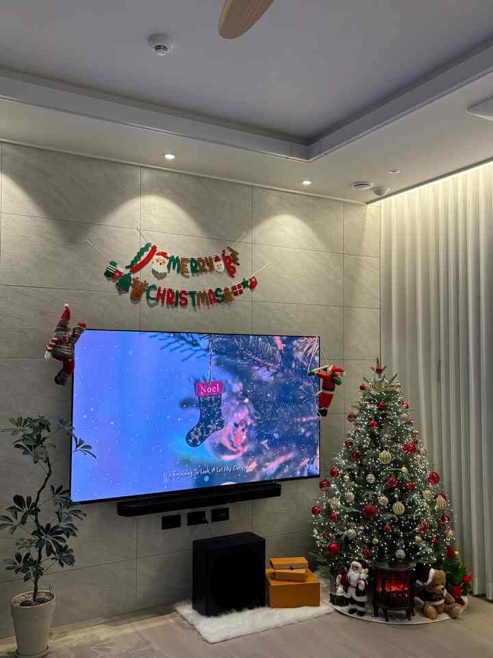 我が家トリゾン🌲  #크리스마스 #christmas #메리크리스마스 