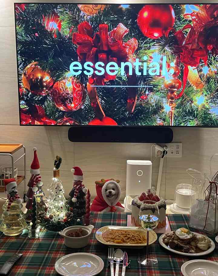 #merrychristmas #homeparty