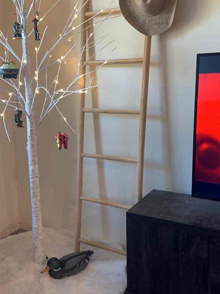 Beautiful addition to the living room. I was deciding between a few wood ladders to use as stocking holder for Christmas and then repurpose as a blanket holder. I wound up going with this one and I don’t regret it. Although the other one looked a bit more rustic—the vibe I was going for, I saw reviews about it splintering and knew that was an immediate, “no.” This ladder is beautiful and sturdy without weighing too much. It arrived fully set up (no installation required). I’ve had no issue with it holding 4 loaded stockings or a series of blankets this far. I will note that I can see a seam about halfway up the latter (will include) photo but it’s not something you’d notice unless you were looking for it.

#WhiteChristmas #HolidayMagic #TreeGoals