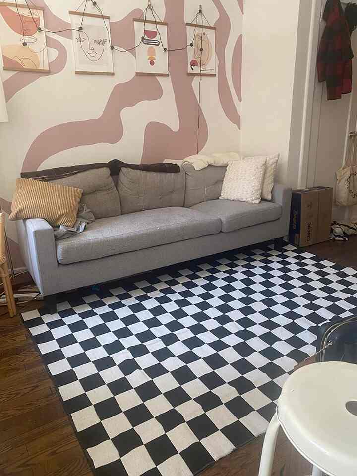 <div>Amazing size area rug for the price. However it is thin! I had to purchase a non slip pad to go underneath. Because it is so thin I have purchased a cushion pad to go underneath. These additional items that are needed are WORTH it as a better “quality” rug would be so more more expensive!</div><div><br></div><div>#CheckeredRug #ModernDecor</div>