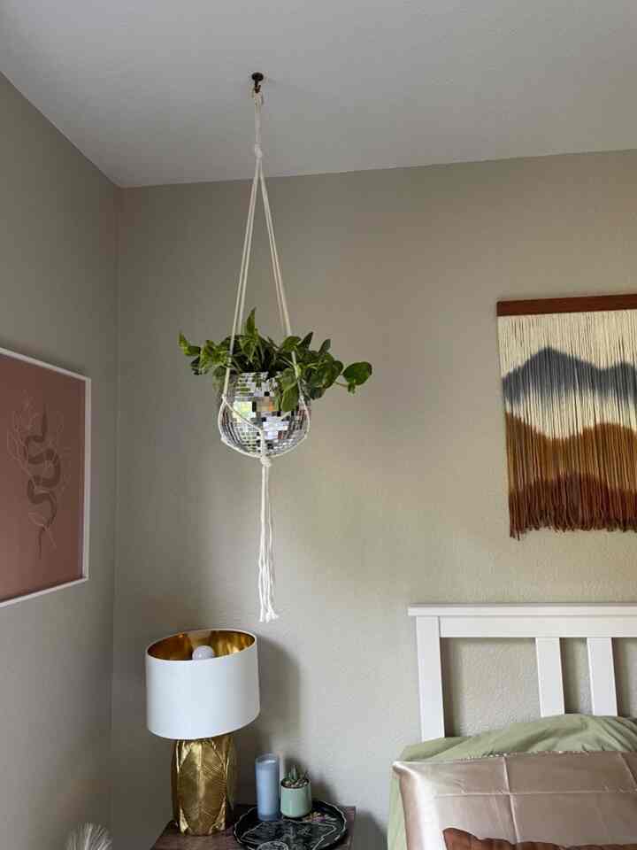 Super cute and well made! It’s the perfect fun decorative accent.

#HangingPlanter #BohoDecor #BedsideLamp