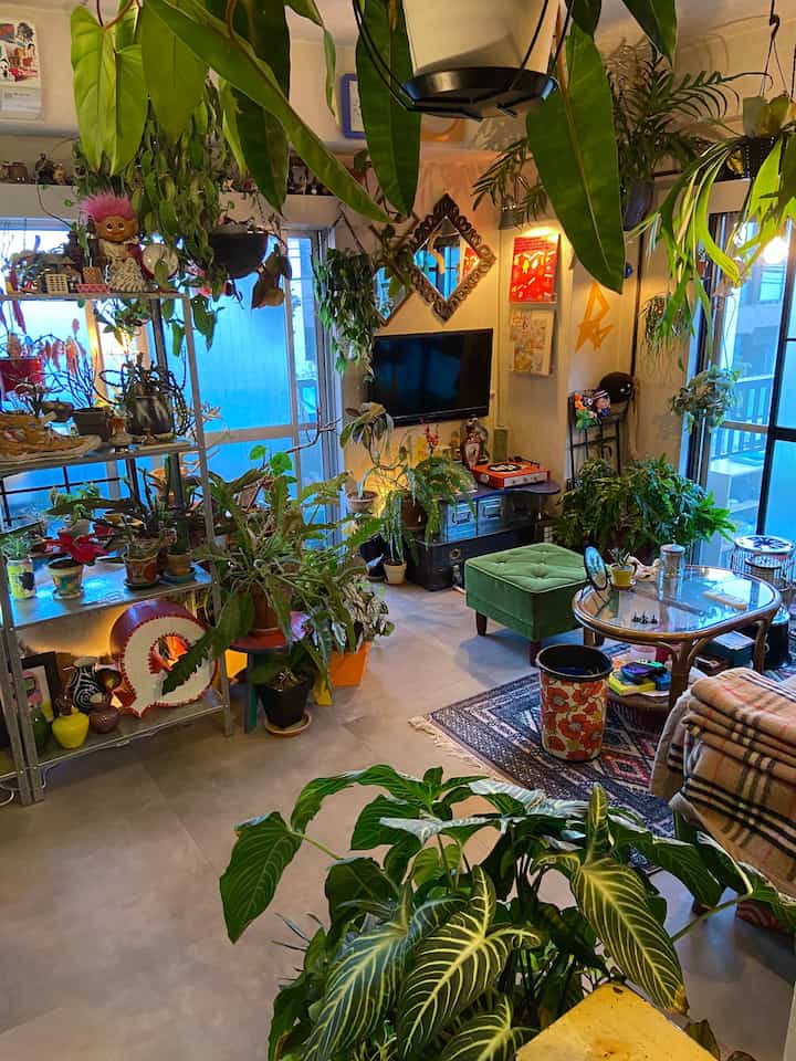 A cozy living room with green plants and retro mid-century modern style furniture, featuring a vintage record player and glass coffee table
