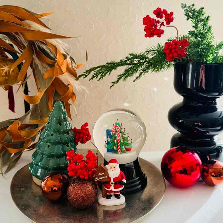 新居でも、棚にちょこっとクリスマスしてました🎄
黒い花瓶の中の枝は、庭から拝借✂️
茶色のリースは、お花屋さんで一目惚れして購入したもの✨

#クリスマス雰囲気 #リビング #ラック・シェルフ #インテリア小物 #インテリア配色 #インテリア植物 #クリスマス #サンタクロース #サンタ #飾り棚 #ディスプレイラック #賃貸暮らし　#賃貸インテリア　#インテリアオブジェ 