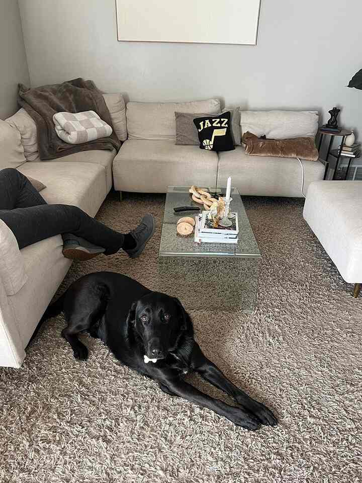 A cozy living room with soft brown tones and beige sectional sofa, featuring a transparent glass coffee table and a black dog on the rug
