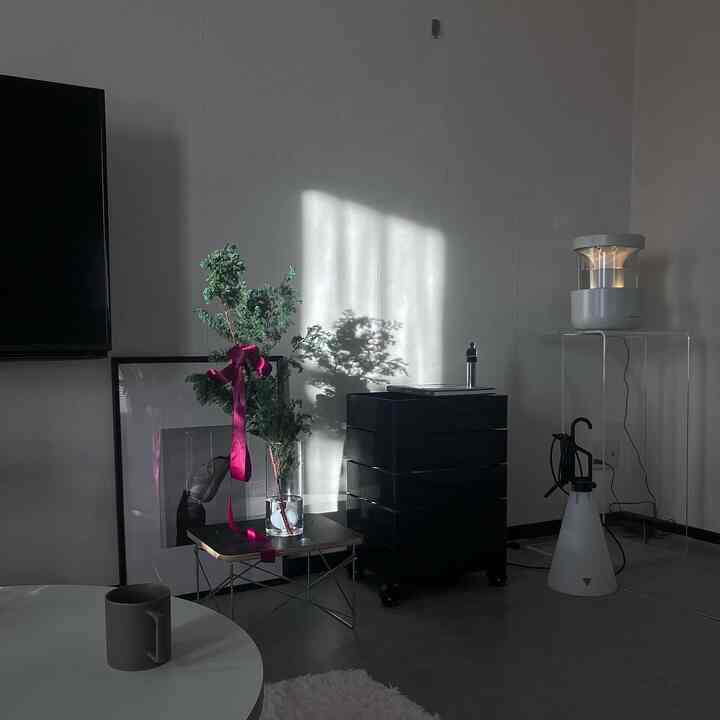 Gray-toned living room with black storage unit, side table holding a clear vase with green plant, creating an inorganic ambiance