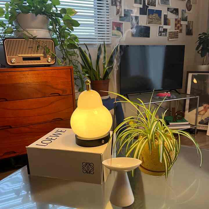 温かい照明とグリーン植物がある8畳の居心地の良いワンルームリビング