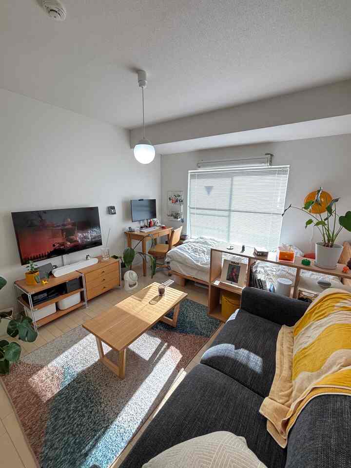 明るいナチュラルトーンの1Kリビング、グレーのソファと木製のコーヒーテーブル、壁掛けテレビとベッドが配置された雰囲気のある空間