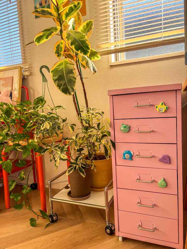 #カラフルインテリア #カラフル #イケア #IKEA #ポケモン #紙粘土 #植物インテリア #観葉植物