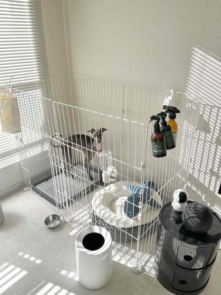 Seperti inilah rasanya membuat rumah untuk anjingmu~
Simpan semua perlengkapan pembersih Anda di kotak hitam di samping!
Tempat sampah dan tisu juga penting di dekat sini haha

Pembersih udara Levoit
Ini berguna karena ramah hewan peliharaan 🙏✨✨

#Levoit #空気清浄機 #ゴミ箱 #犬のいる暮らし #IKEA #ブローハイ