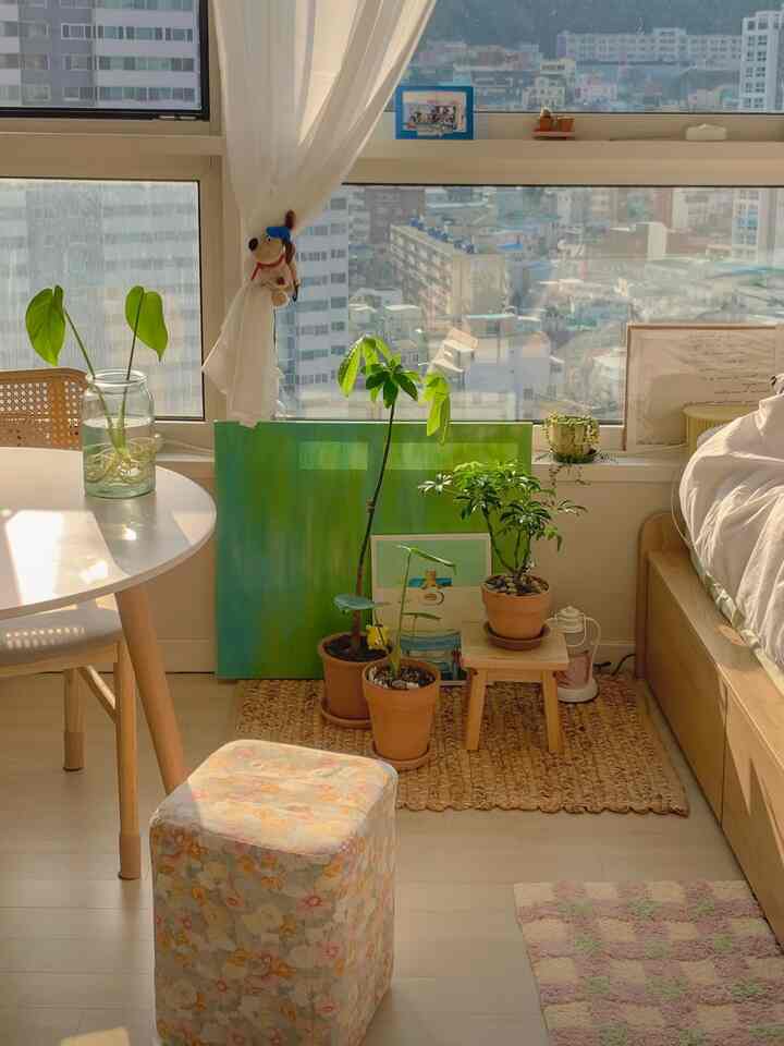 Natural-toned bright studio bedroom featuring wooden furniture and green plants with cozy sunlight ambiance