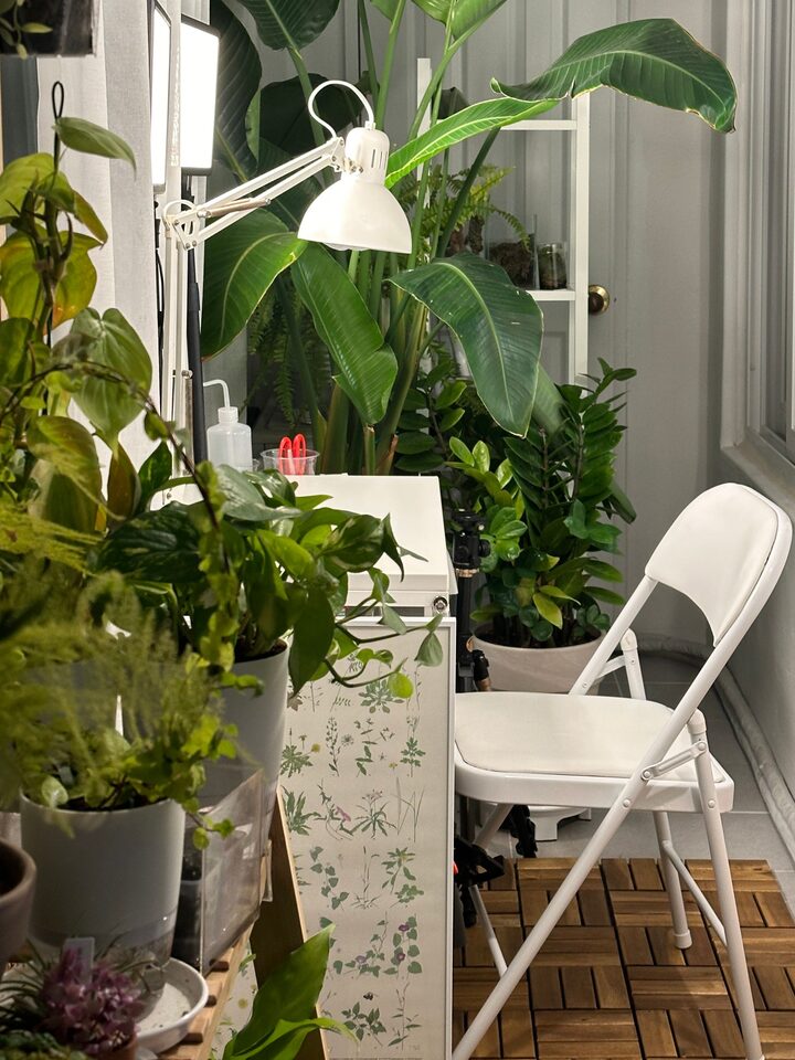 short form carousel card thumbnail