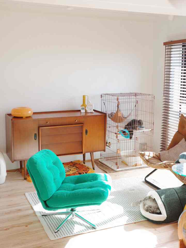 明るい木製の床と白い壁のリビング、緑のアームチェアと木製サイドボード、キャットケージが配置された温かみのある空間