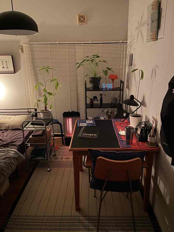 モノが多い方が落ち着く😌

#観葉植物
#unico
#IKEA
#一人暮らし
#一人暮らし部屋