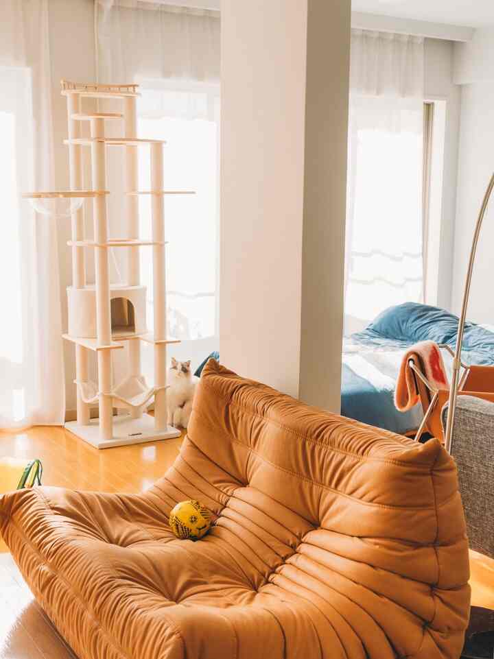 Natural-tone living and bedroom space featuring a brown sofa, beige cat tower, and a white cat in warm atmosphere