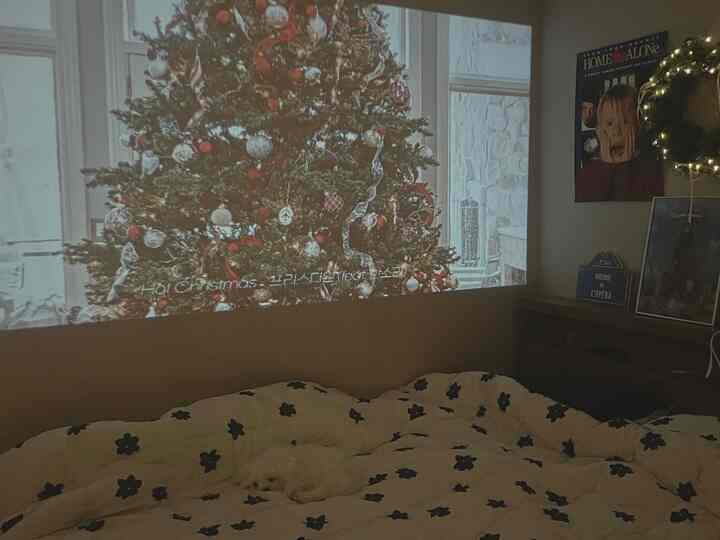 白い花柄の寝具がある寝室、小さな犬が眠り、壁にクリスマスツリーの投影と『ホームアローン』のポスターが配置された温かみのあるインテリア