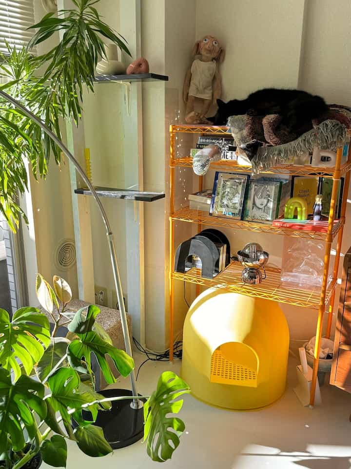 Natural-toned living room featuring orange shelf and yellow cat litter box with pet-friendly elements