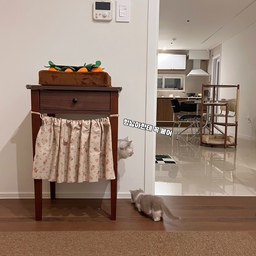 반려동물 숨숨집DIY
고양이 숨숨집, 패브릭 원단 하나로 완성!!
오늘의집을 시작하고
예쁜 펫테리어를 보며 항상 부러웠어요. 
그동안 가성비를 위한 펫테리어라 
이쁜것은 재쳐두고 편리함만 추구했죠 🥺
그래서 있는걸로 만들어보자며 
패브릭 천 하나로 만든 숨숨집 협탁 (뚝딱!!🤎)
지금까지 잘 써주니 너무 좋아요. 
패브릭을 길이에 맞게 잘라준 후, 
끝의 올을 살짝 풀어 말끔하게 정리하고
끈으로 달아주기만 하면 완성 ~ 
다양한 패브릭 원단으로 
색다른 연출도 가능하다는 사실
같이 만들어봐용 🖤
 #콘수프기록 #diy리폼  #집사일상 #고양이 #고양이인테리어 #먼치킨 #집사 #숨숨집 #diy인테리어  #스크래쳐 #반려동물인생세컷  #반려동물과함께사는집 #반려동물인테리어 #diy만들기  #반려동물 #맞팔 #선팔 #좋아요 #스크랩 #좋아요반사 #고양이커튼숨숨집 #고양이커튼 #숨숨집만들기 #협탁숨숨집 #원목diy #침실인테리어 #냥테리어 #펫테리어 #펫가구 #우리집포토존