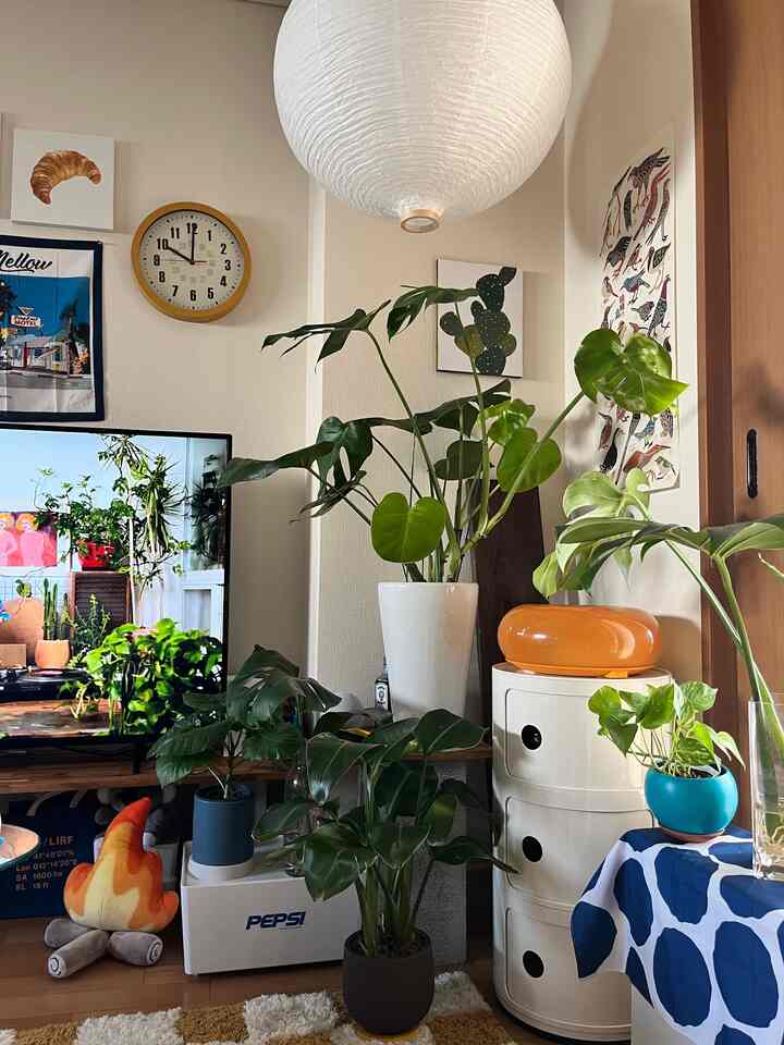 リビングのインテリア配置を少し変えました〜

Rearranging living room’s little corner.
Added colorful interior pieces to the space 🧡🪴

——————

#interiordesign #myroom #livingwithplants #cozyvibes #apartmentdecor #homeinspo #interiorinspo #colorfulhome #midcenturymodern #ikea #decorideas #interiorstyling #homebar #retrointerior #vintage #whiskey 

#賃貸暮らし #賃貸インテリア#インテリア#観葉植物 #雑貨 #ミッドセンチュリー
