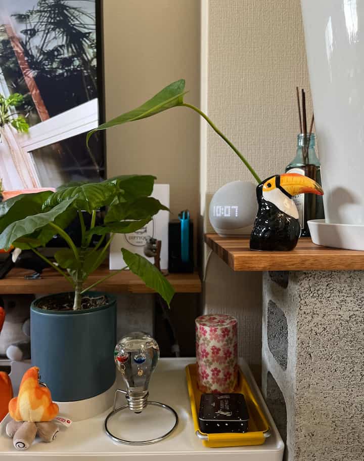 カラフルなインテリア小物✨

——————

#interiordesign #myroom #livingwithplants #cozyvibes #apartmentdecor #homeinspo #interiorinspo #colorfulhome #midcenturymodern #ikea #decorideas #interiorstyling #homebar #retrointerior #vintage #whiskey 

#賃貸暮らし #賃貸インテリア#インテリア#観葉植物 #雑貨 #ミッドセンチュリー #カラフル #インテリア雑貨 #diy
