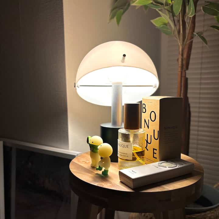 IKEAの新しい照明
#IKEA #IKEA照明 #スミスキー
#1K 