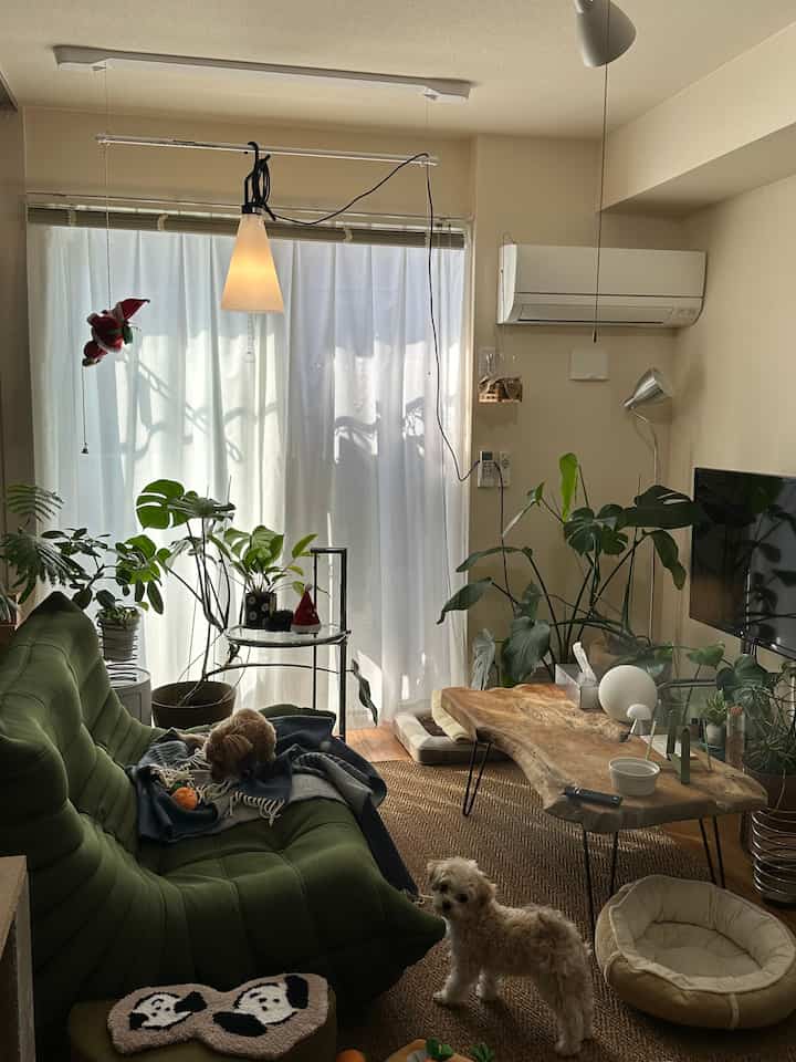 Cozy beige and green toned living room featuring natural wood coffee table and abundant greenery with two small dogs