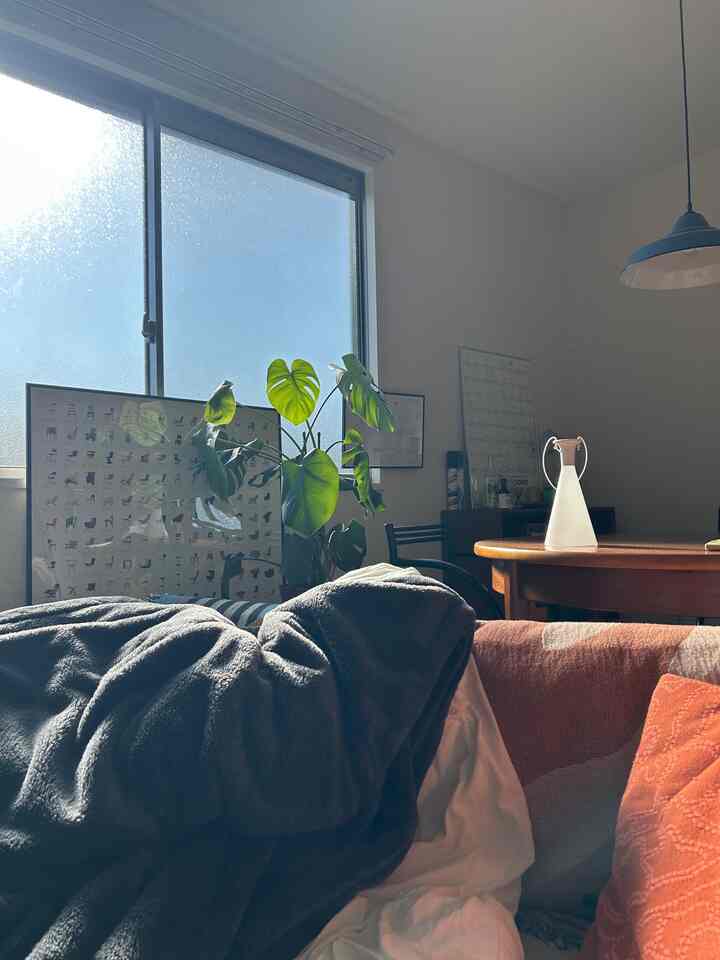 自然光が差し込むモダンでナチュラルなリビング、丸いダイニングテーブルと植物が配置された雰囲気のある空間