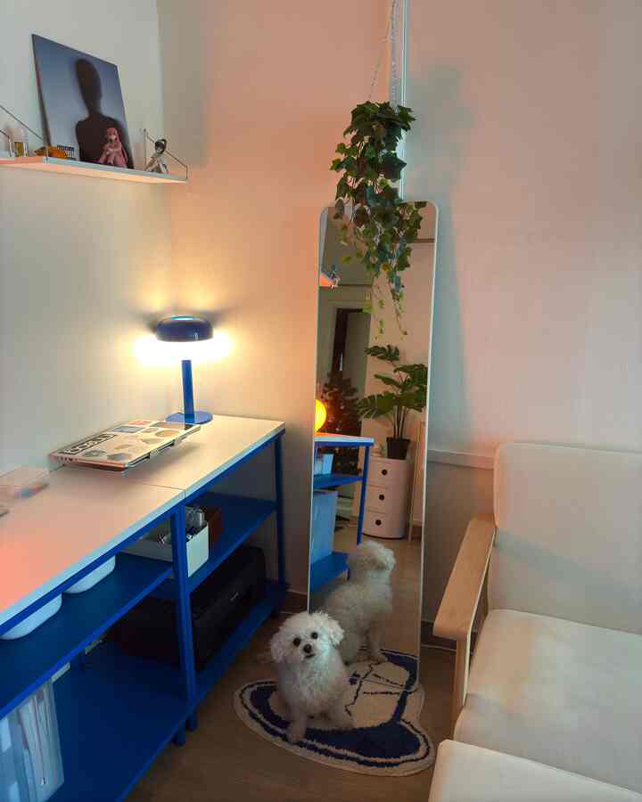 #myhome #cozyhome #interior #roomtour #インテリア #ルームツアー #犬のいる暮らし #猫のいる暮らし #植物のある暮らし #집꾸미기 #방꾸미기 #홈스윗홈 