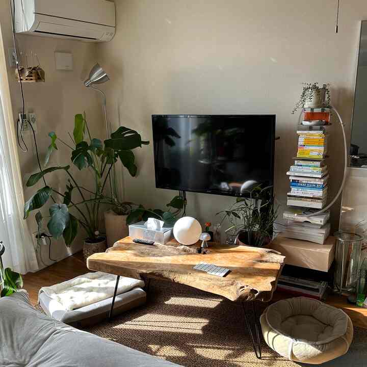 日当たり良すぎる
#リビング 
#ブックスタンド 
#テレビスタンド 