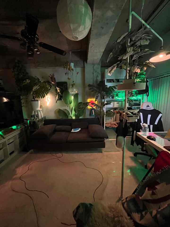White and green toned studio apartment featuring a dark gray sofa, gaming chair, and lush plants with a modern cozy atmosphere