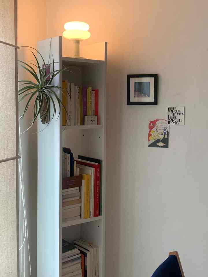 白とナチュラルな色調の狭い部屋の隅に、隙間収納の本棚と観葉植物が配置された雰囲気のあるインテリア