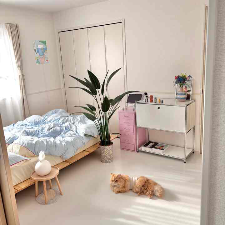 スカイブルーのトーンが特徴的な寝室、低い木製ベッドと植物が配置され、床にはふわふわのオレンジ色の猫がくつろぐ、温かみのあるインテリア