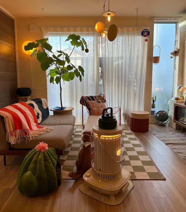 Warm natural-toned living room with wood flooring, a cat, cozy sofa with wool blanket, and vibrant green plants