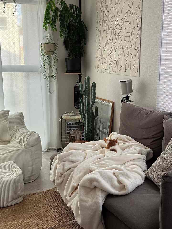 ナチュラルトーンの1LDKリビング、グレーのソファにアイボリーのスローと猫がいる、雰囲気のある空間