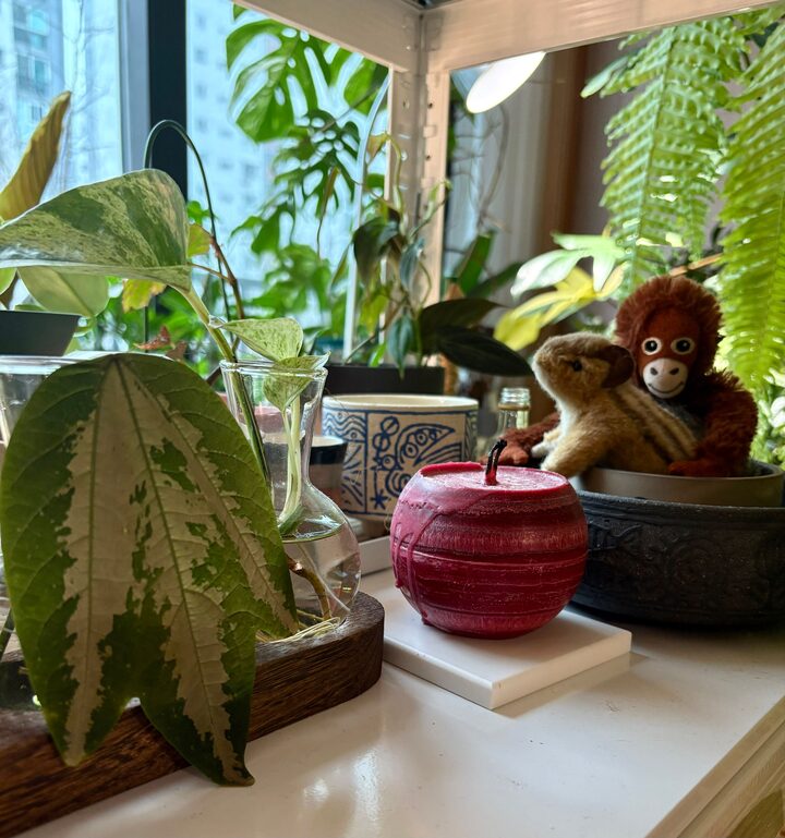 short form carousel card thumbnail