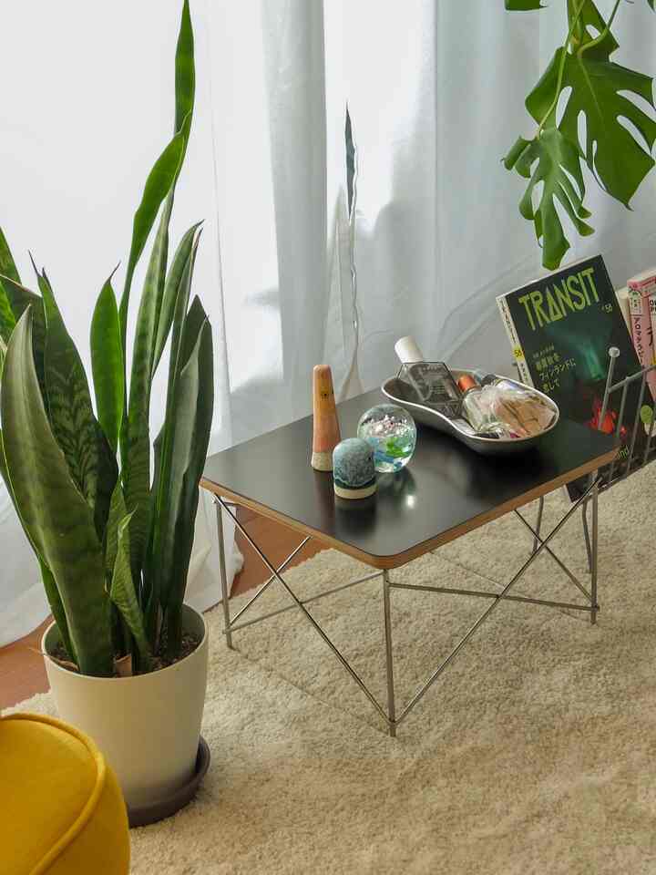 想像以上に使い勝手が良く、買って大正解だったワイヤーベーステーブル🥹
あちこち移動させて、ちょっとした作業台にしたり、パソコン置いたり、本置いたり、モノ書いたり…☺️

#イームズ #ハーマンミラー #HermanMiller 