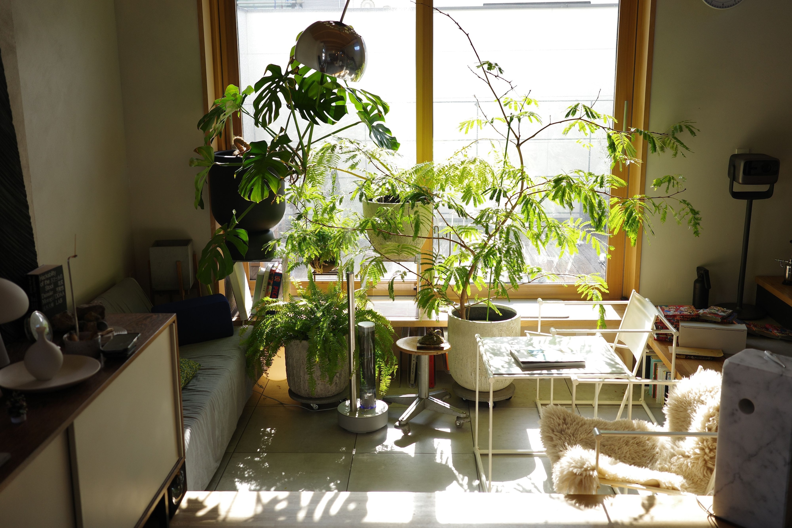 D&M DECO　鉢カバー シルエットが美しいマット素材の鉢カバー｜WEBコラム｜商品案内｜杉田