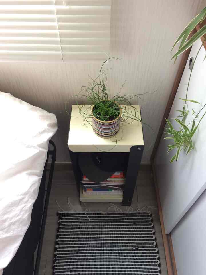 白と黒のトーンの寝室、ナイトテーブルの上に多肉植物が置かれている、モダンで居心地の良い小さな部屋