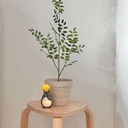 #새해밝았집 #이웃집토토로 #귀여운게최고야
침실에 조화화분과 귀여운 토토로로 포인트를 줬어요😊
#신혼집인테리어 #신혼부부 
#조화인테리어 #조화화분 
#지브리  #지브리인테리어 
#맞팔 #맞팔해요